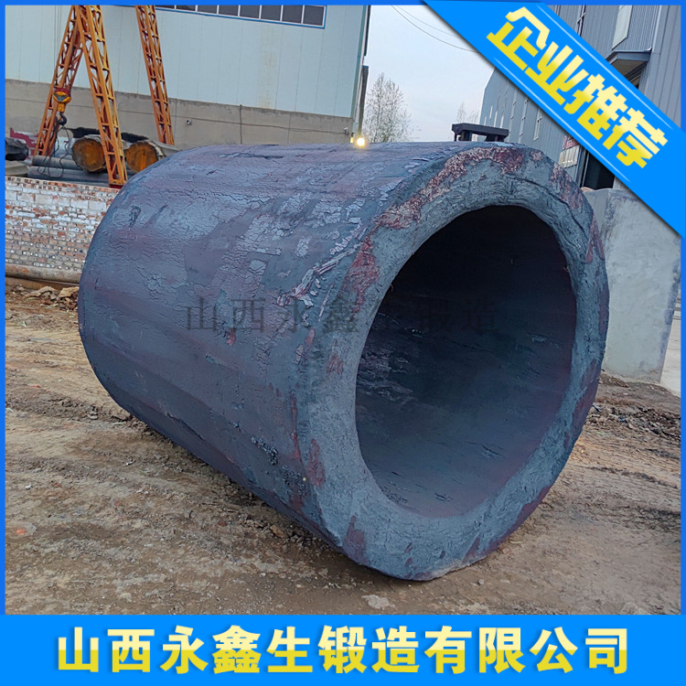 10Cr9MoW2VNbBN锻造件