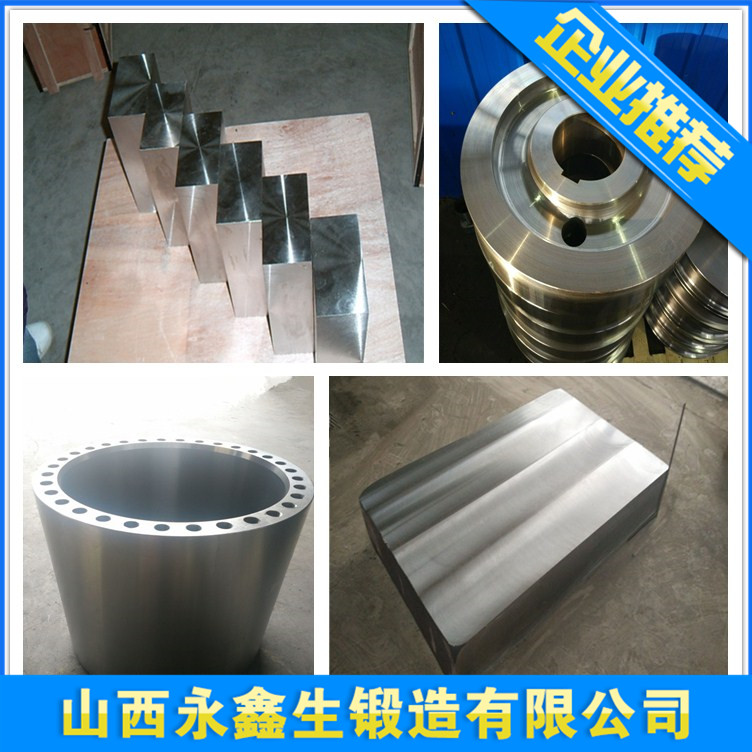 EN10222-5材质锻造